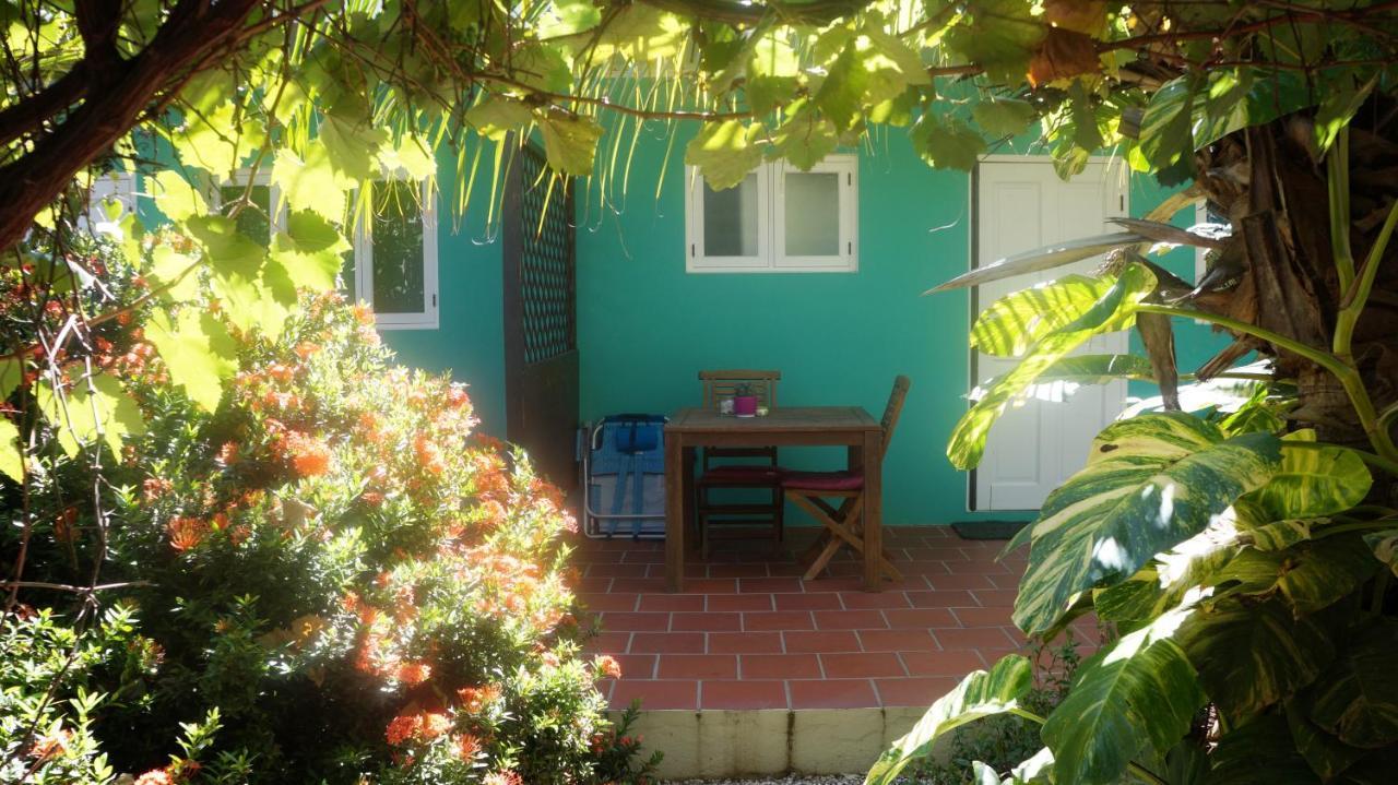 Pauline's Apartments Palm Beach Extérieur photo